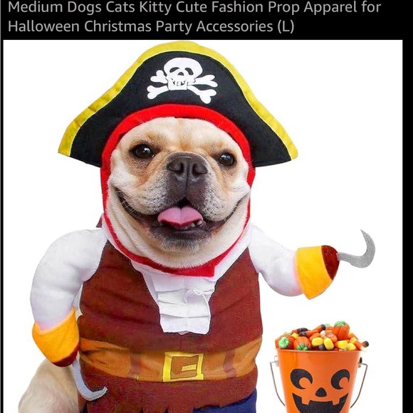 Pirate Dog Costume - Black, Yellow, Red - Picture 4 of 4